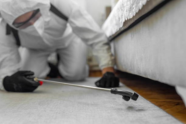 Professional Termite Control technician working in New Albany, MS