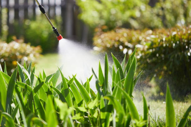 24/7 Emergency Termite Control experts in New Albany, MS