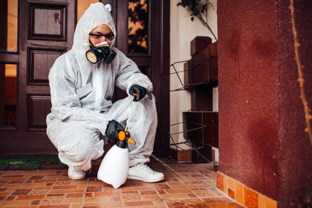 Reliable Termite Control contractor in New Albany, MS by Nex Pest Control