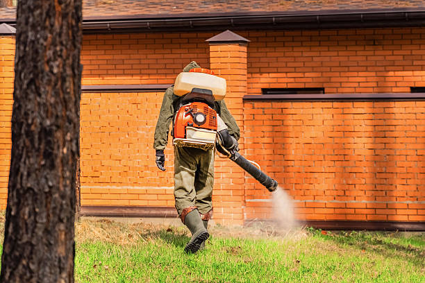 Trusted Rodent Control service in New Albany, MS - Nex Pest Control